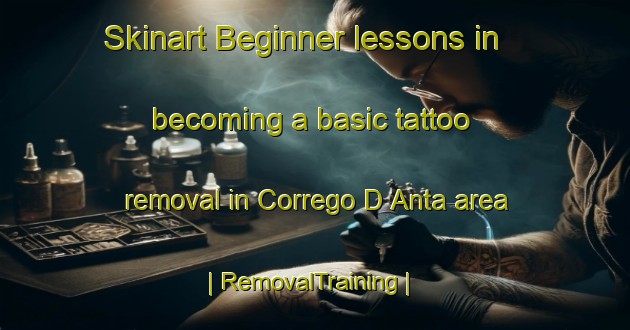 Skinart Beginner lessons in becoming a basic tattoo removal in Corrego D Anta area | RemovalTraining | RemovalClasses | SkinartTraining-Brazil